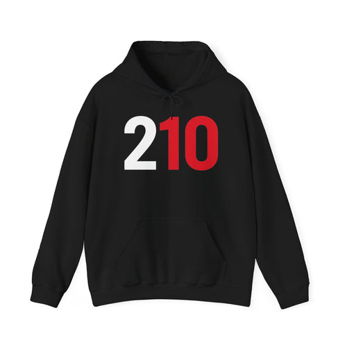 210 Hoodie