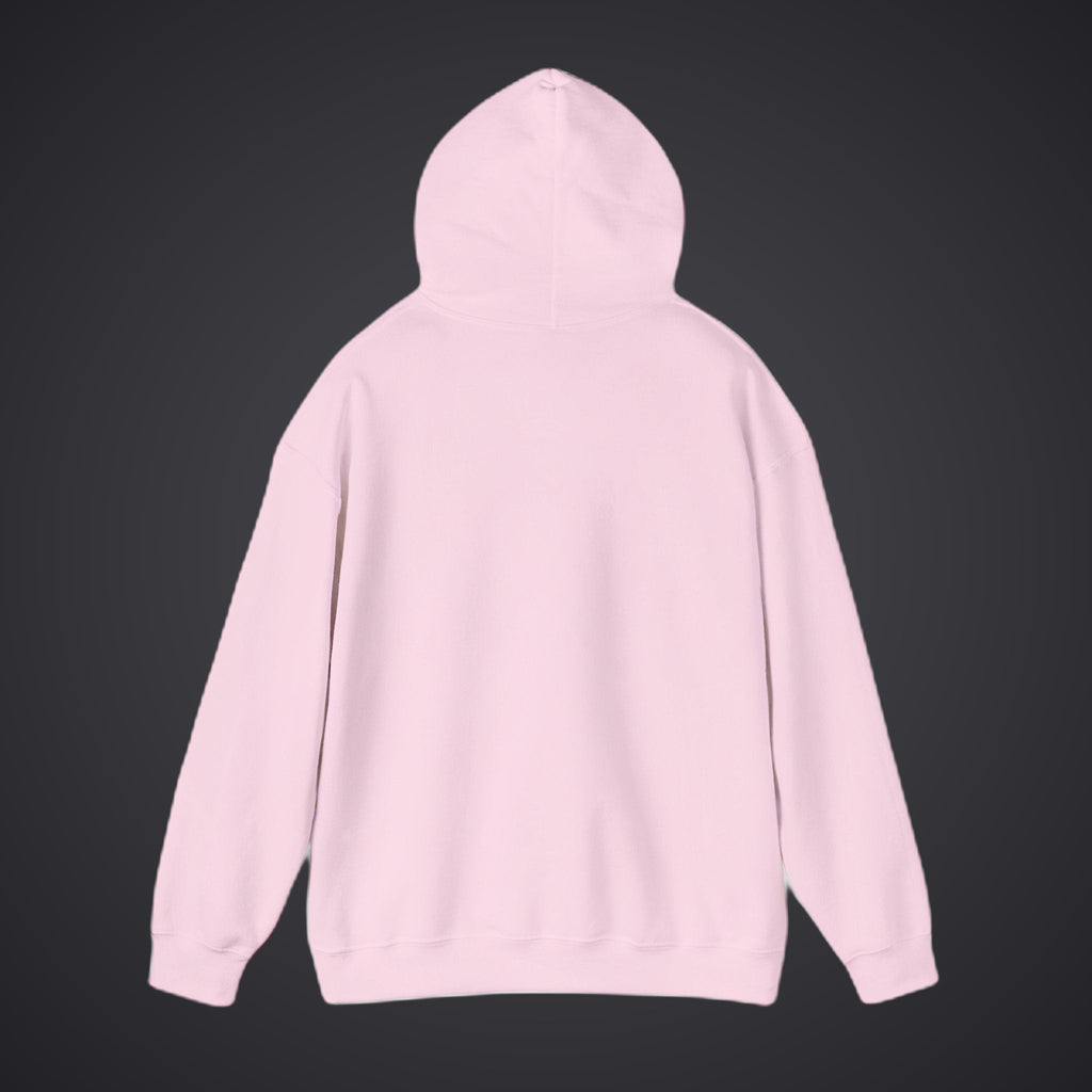 210 Hoodie – Pink