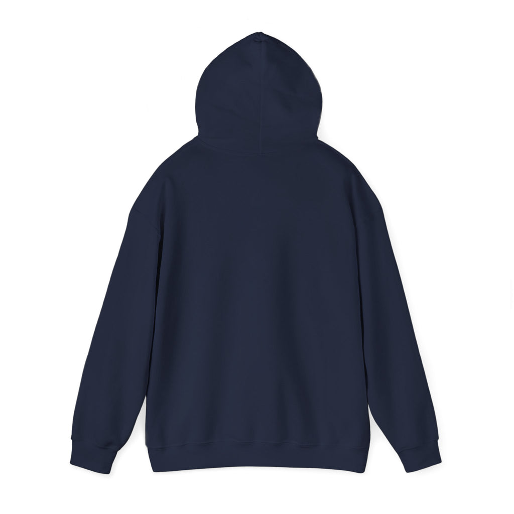 210 Hoodie