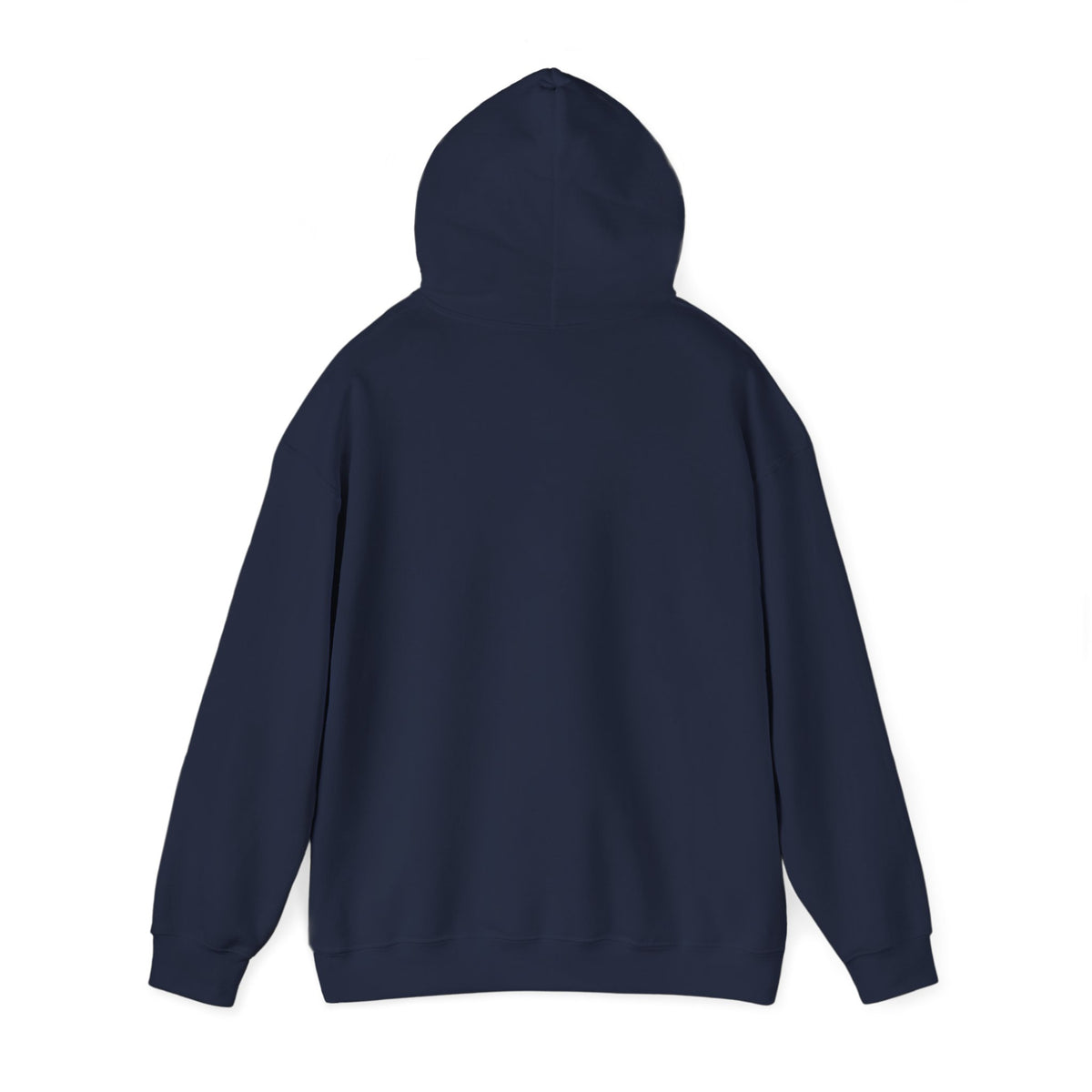 210 Hoodie