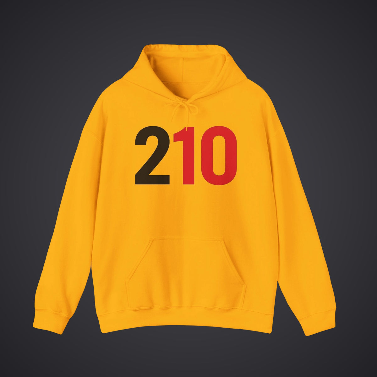 210 Hoodie