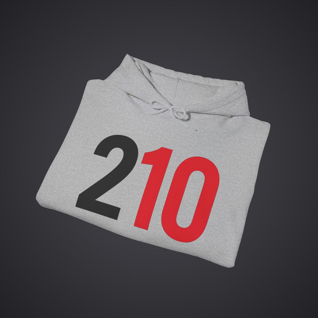 210 Hoodie