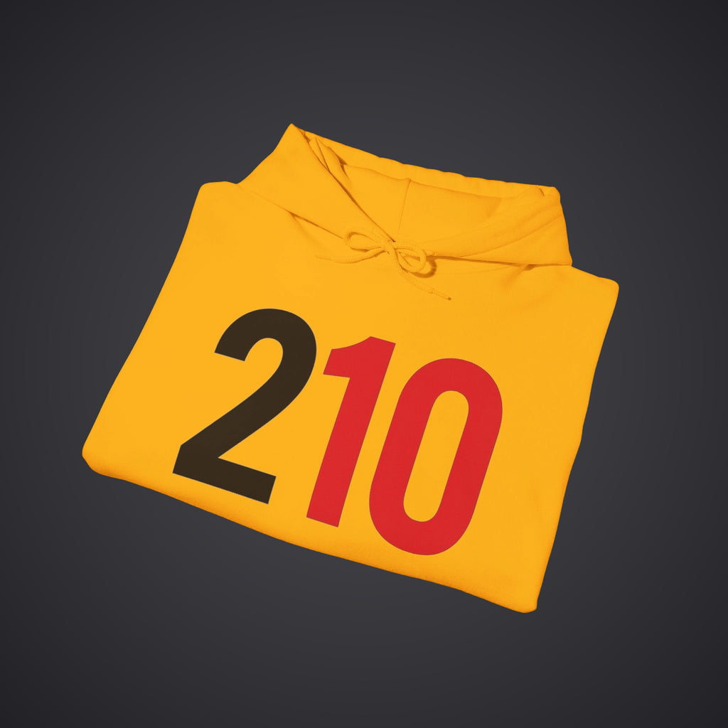 210 Hoodie