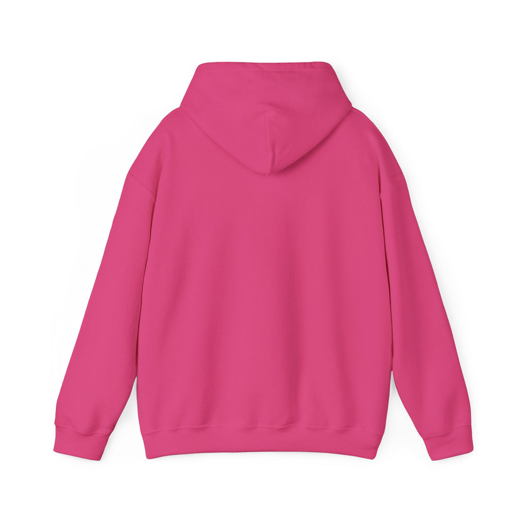 210 Hoodie – Pink