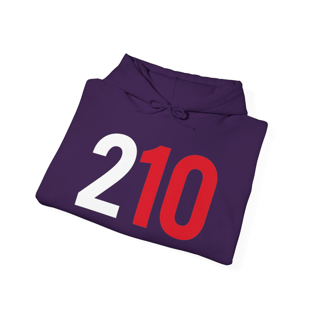 210 Hoodie
