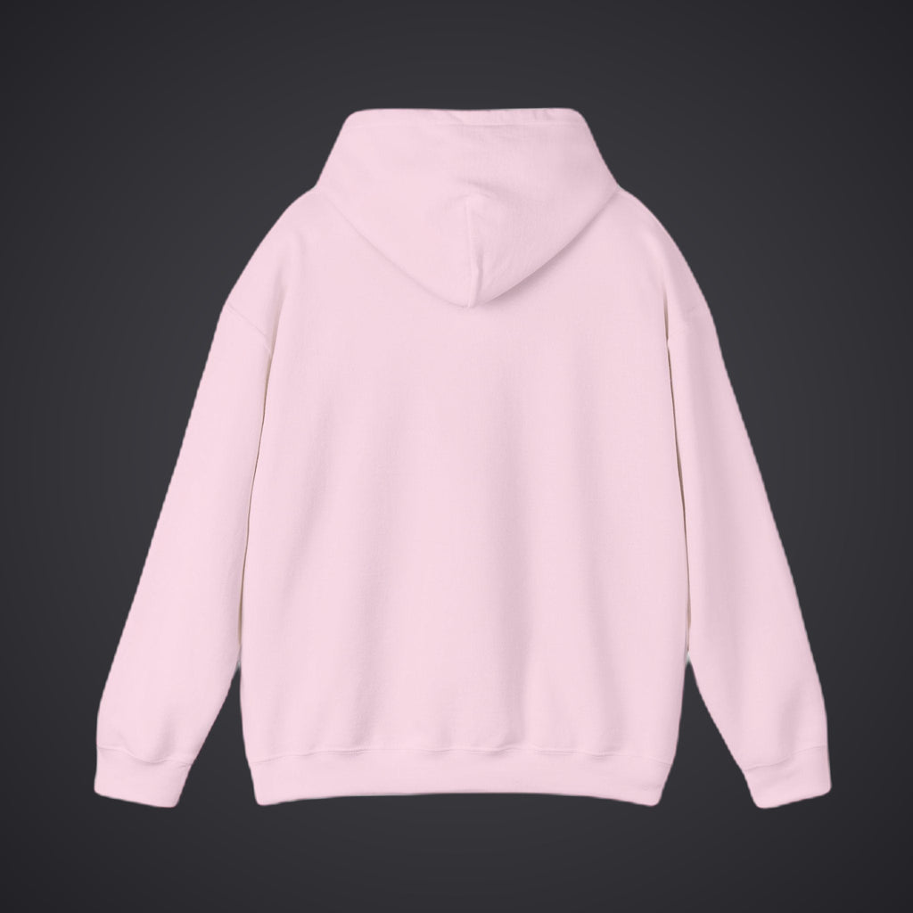 210 Hoodie – Pink