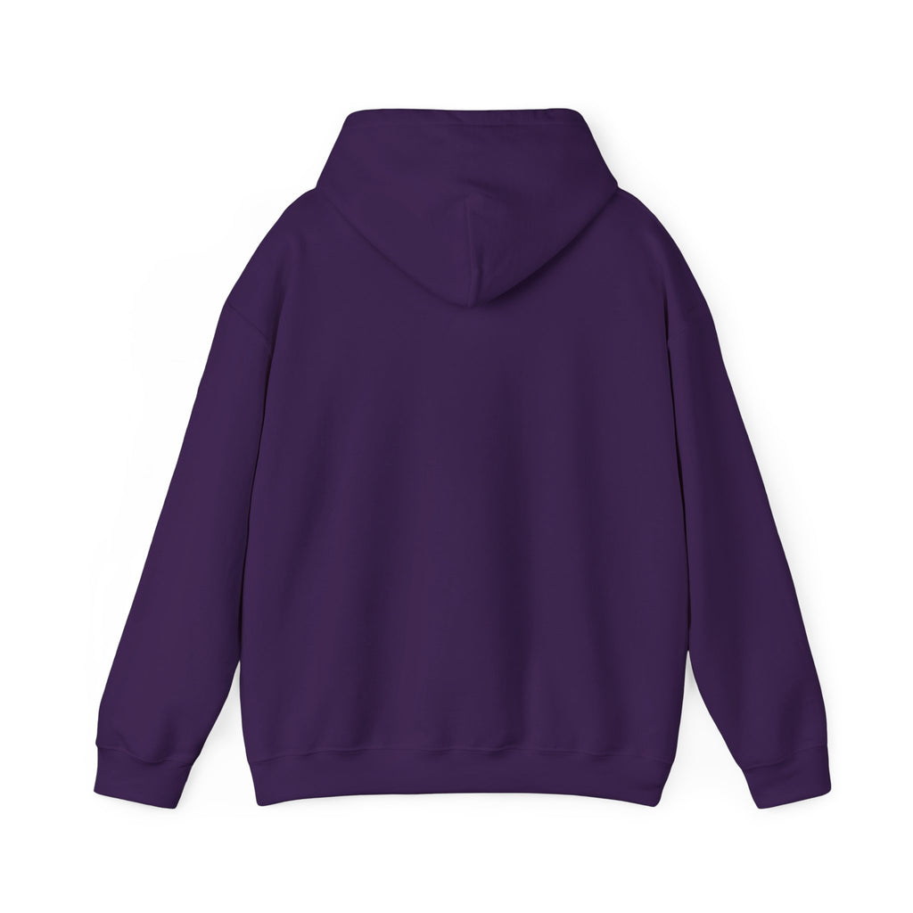 210 Hoodie