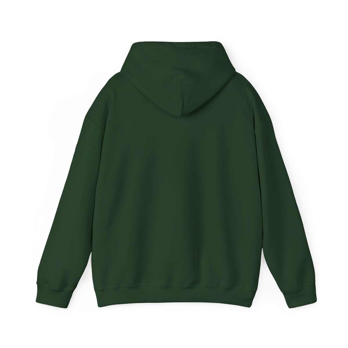 210 Hoodie
