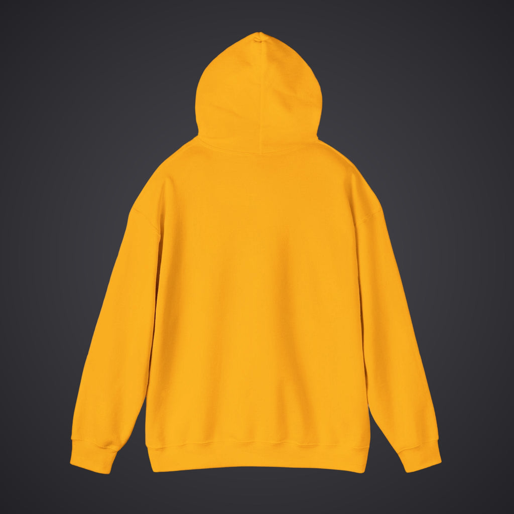 210 Hoodie