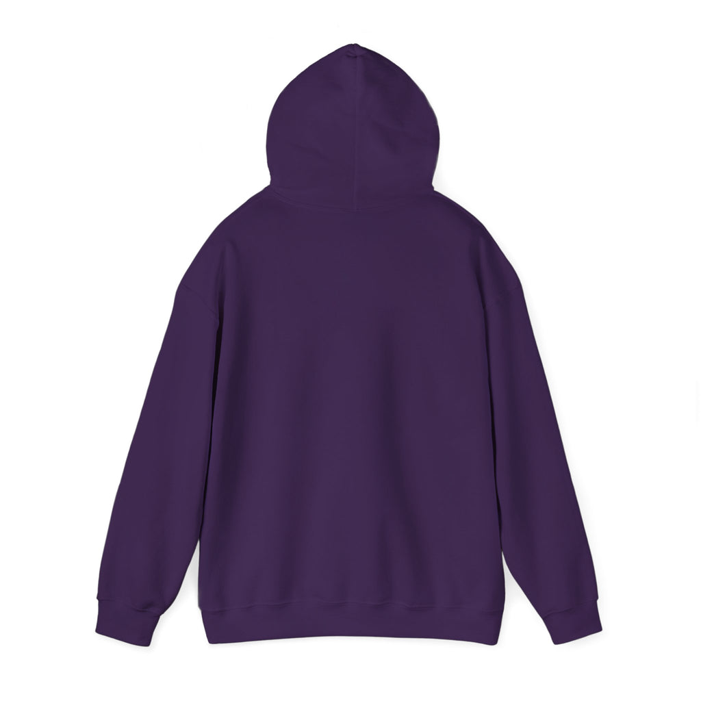 210 Hoodie