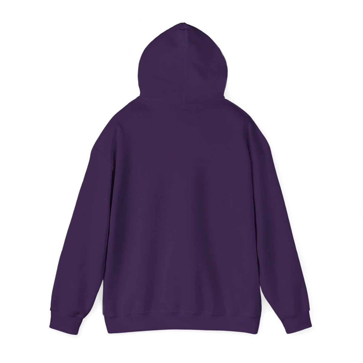 210 Hoodie