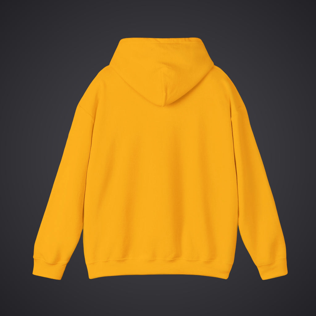 210 Hoodie