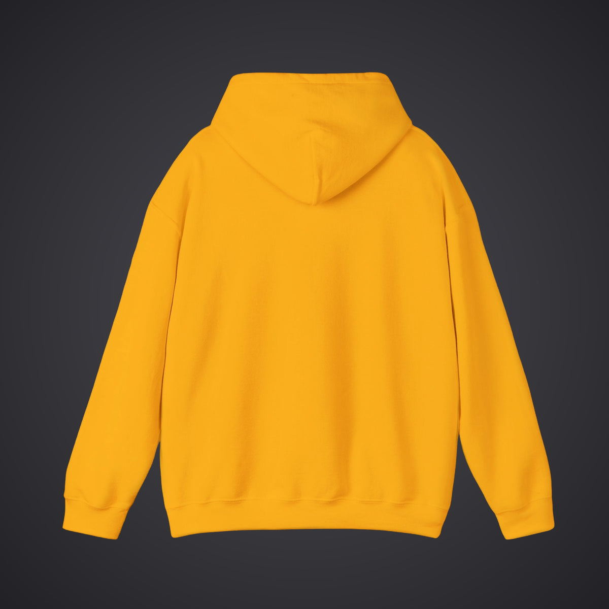 210 Hoodie