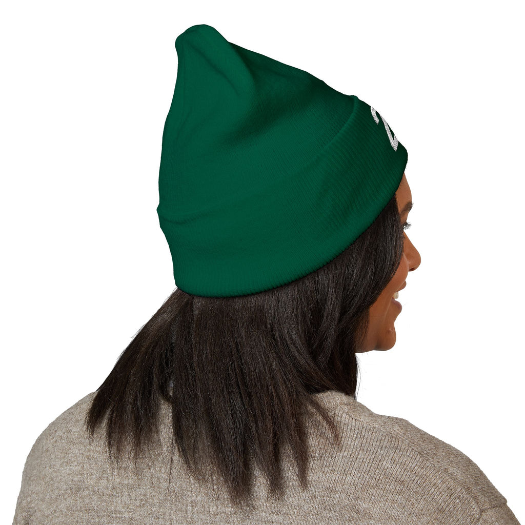 210 Beanie