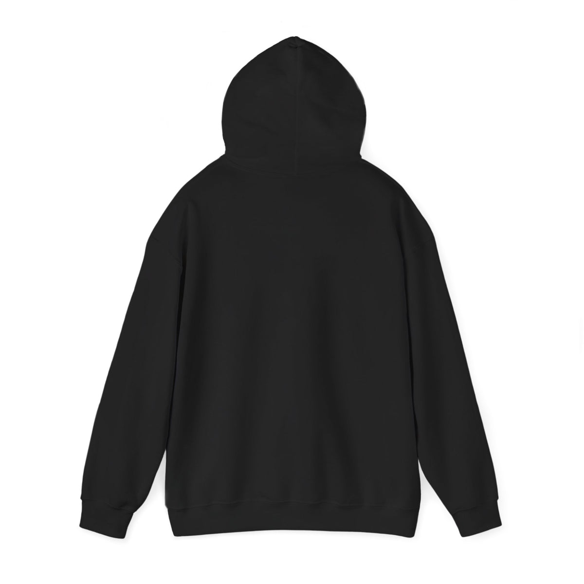 210 Hoodie