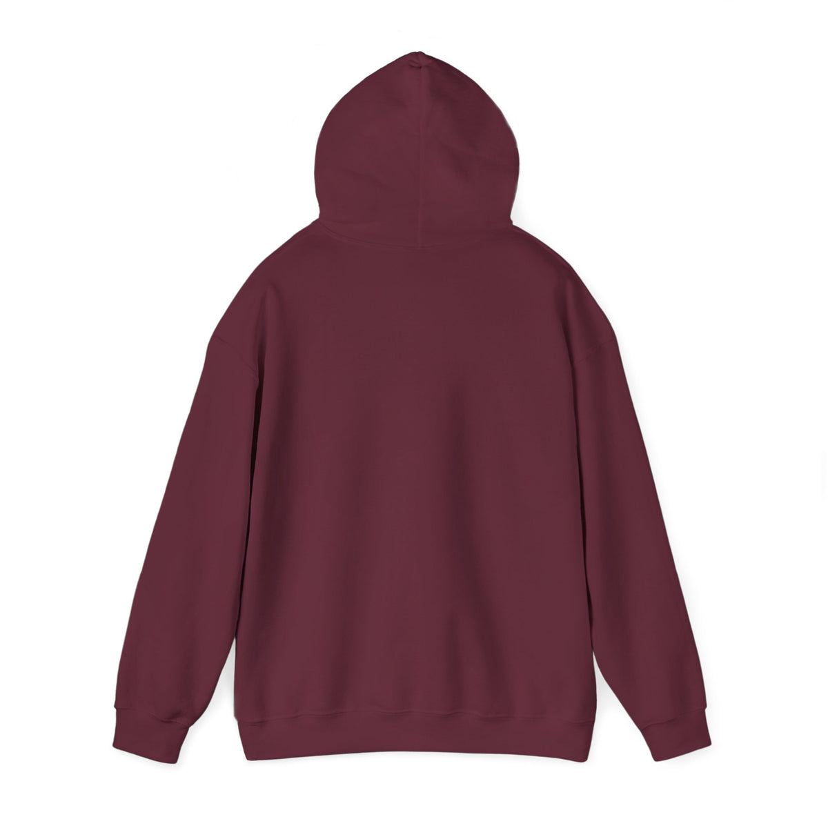 210 Hoodie