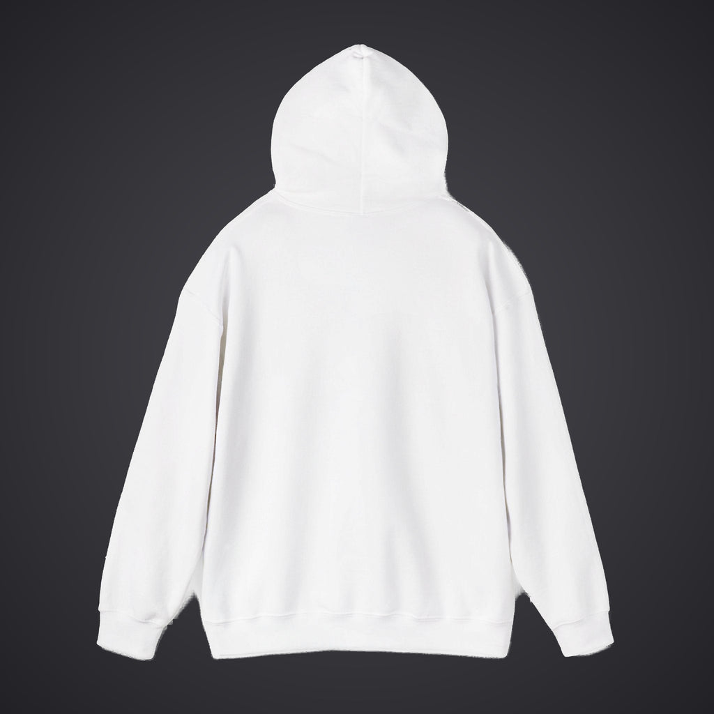 210 Hoodie