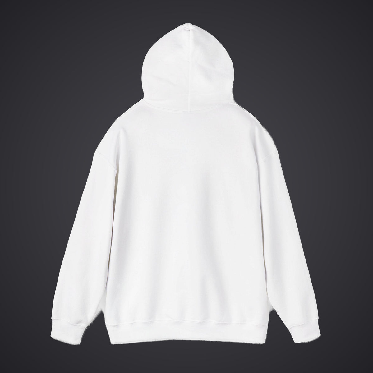 210 Hoodie