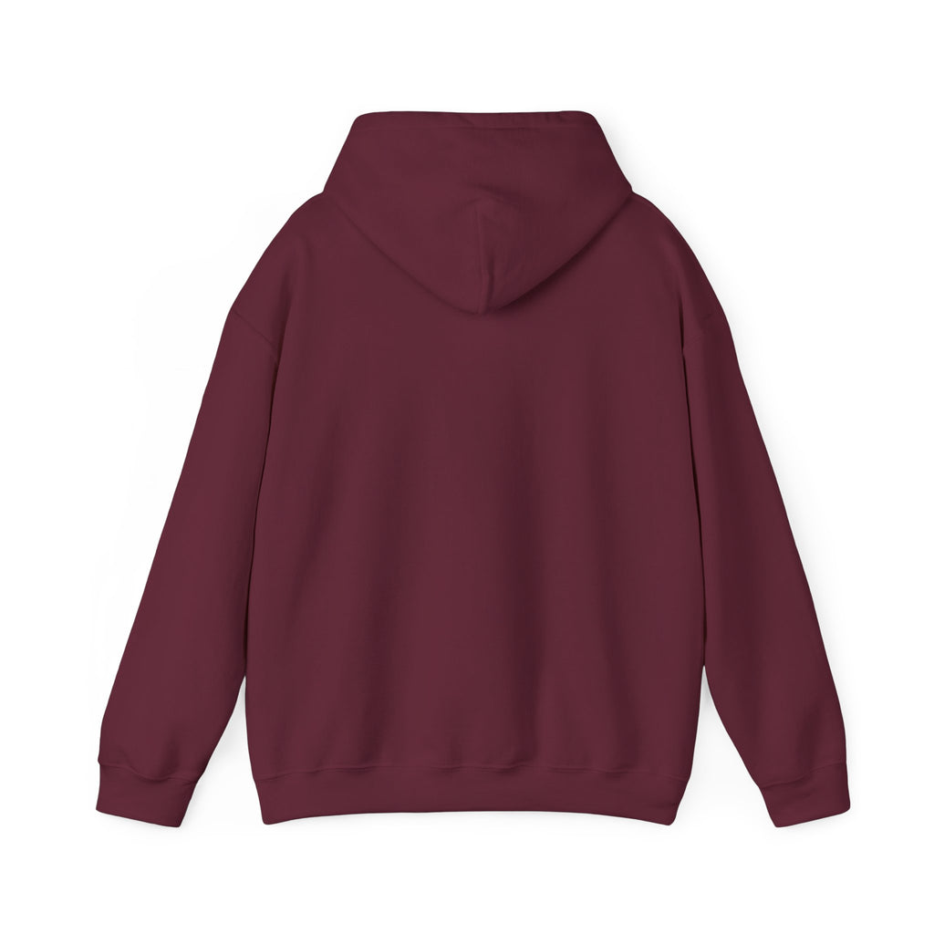 210 Productions Hoodie – Full Logo