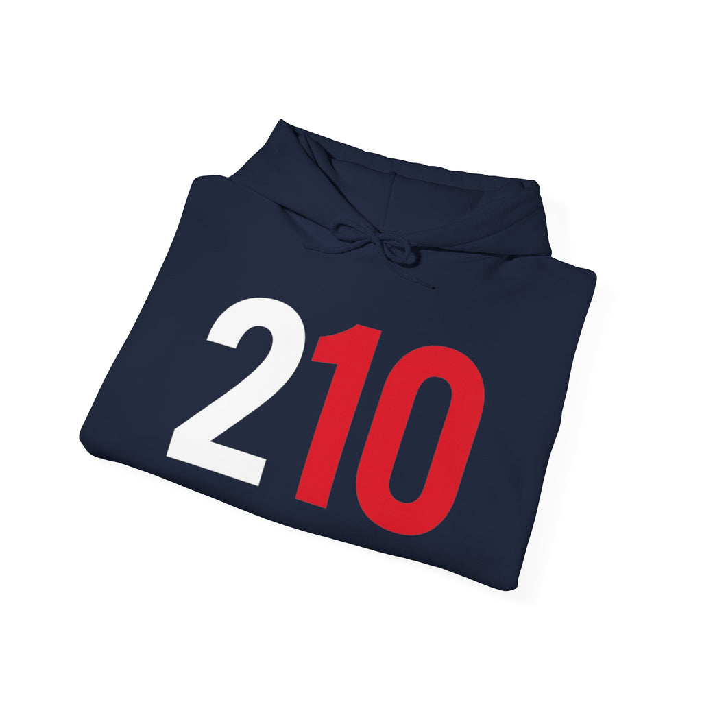 210 Hoodie