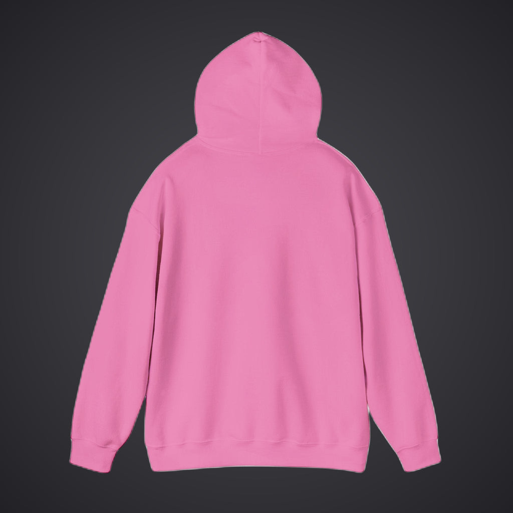 210 Hoodie – Pink