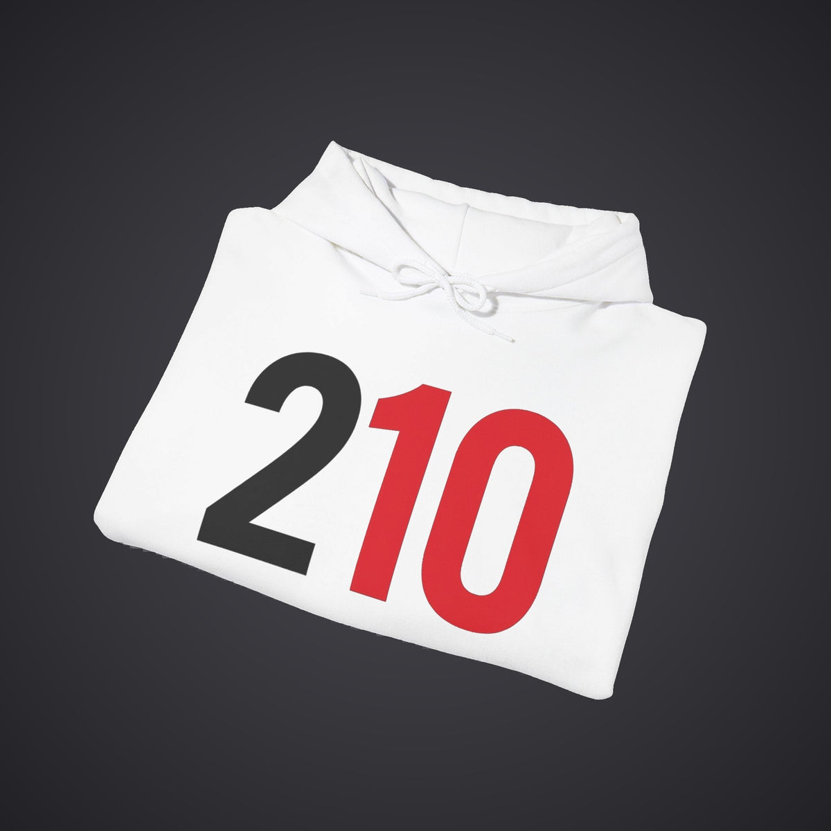 210 Hoodie