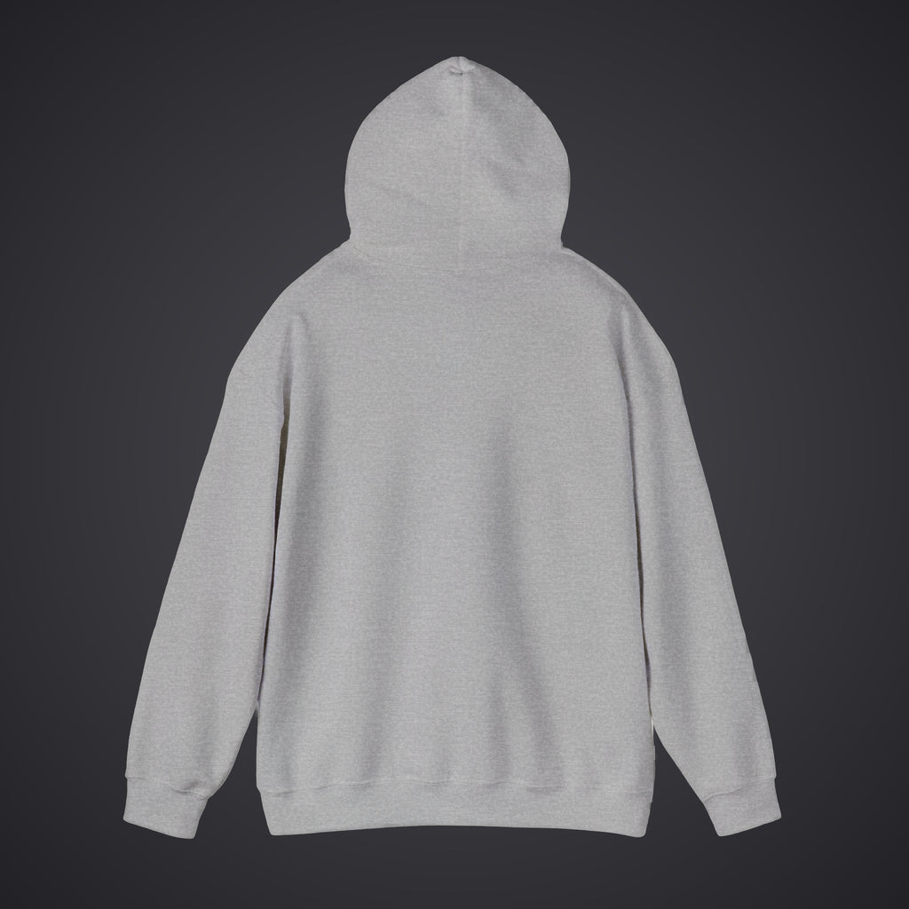 210 Hoodie