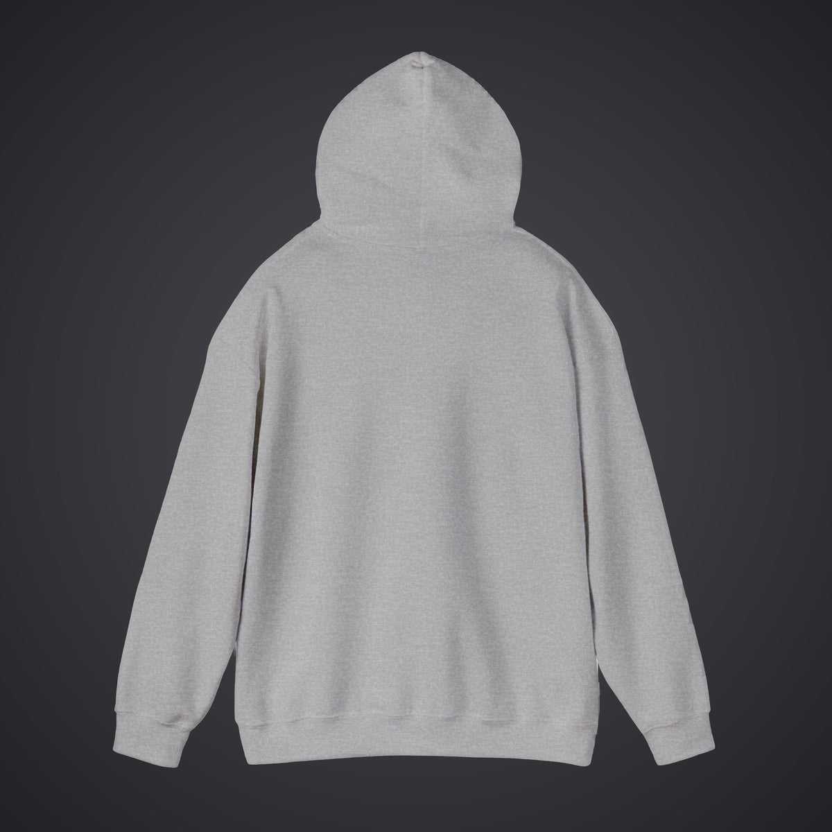 210 Hoodie