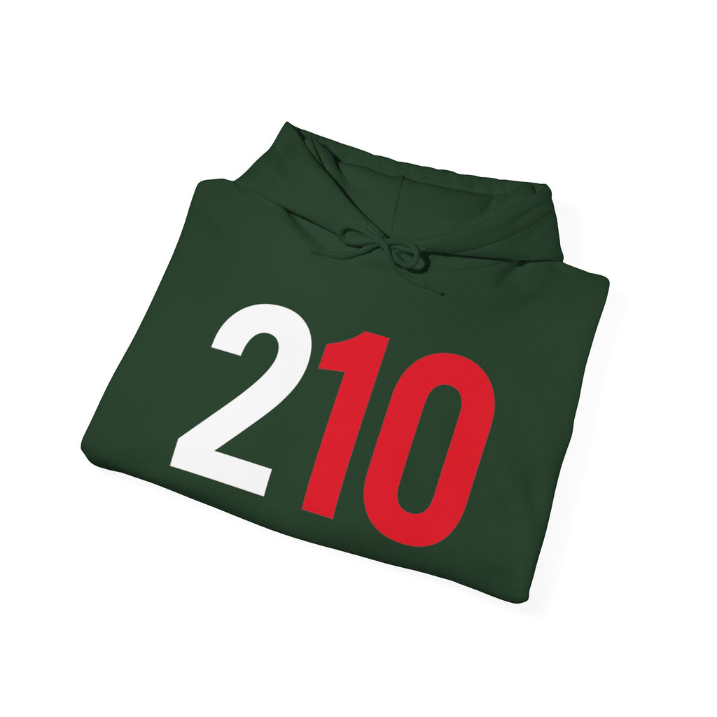 210 Hoodie