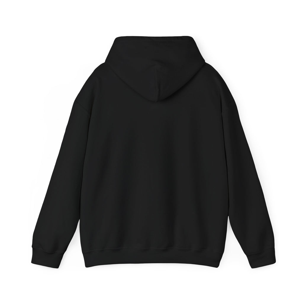210 Hoodie